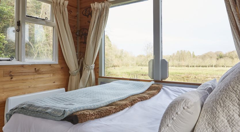 Photo of Under the Stars