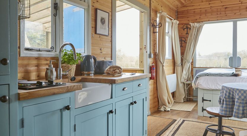 Photo of Under the Stars