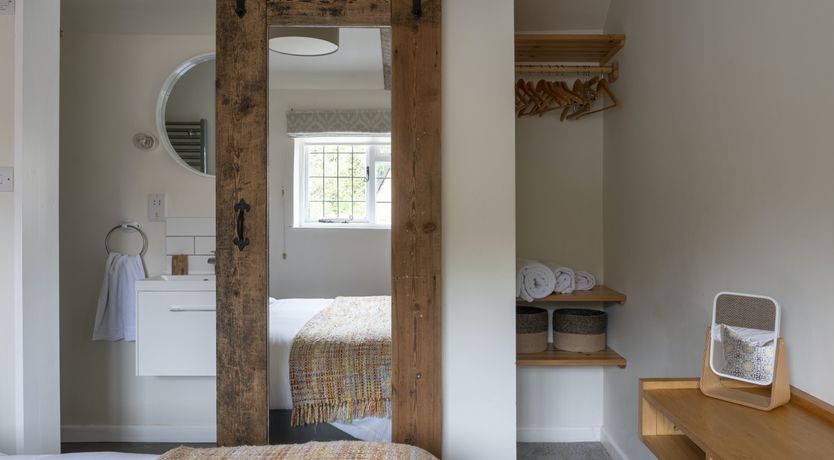 Photo of A Scurry of Squirrels