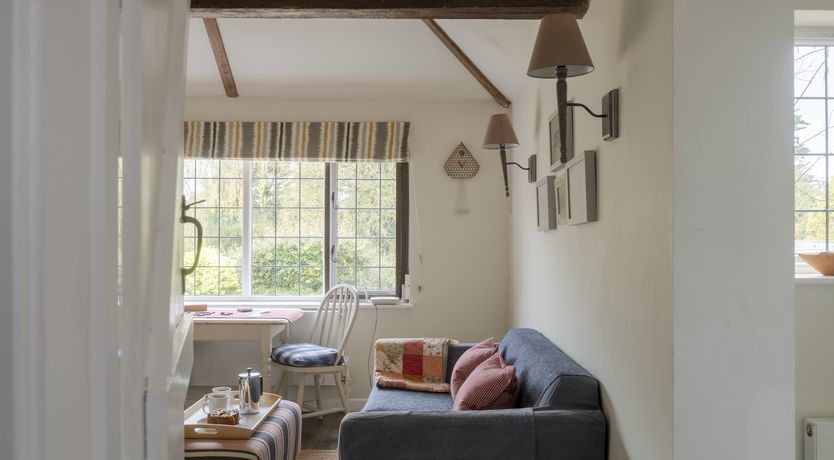 Photo of A Scurry of Squirrels