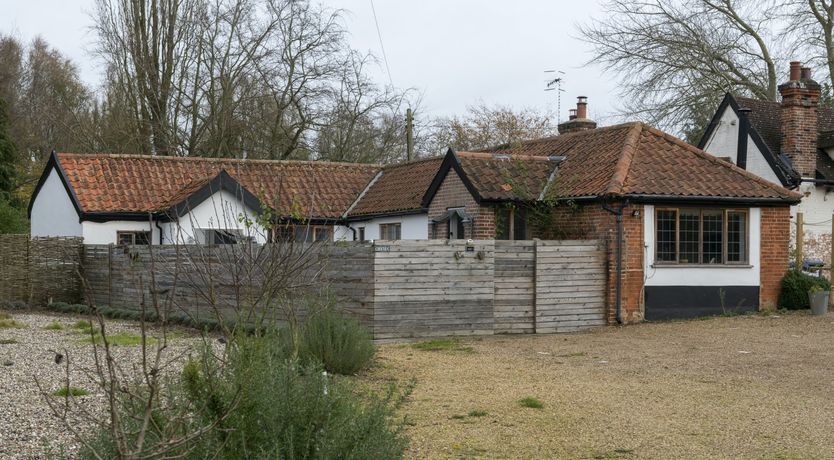 Photo of A Scurry of Squirrels