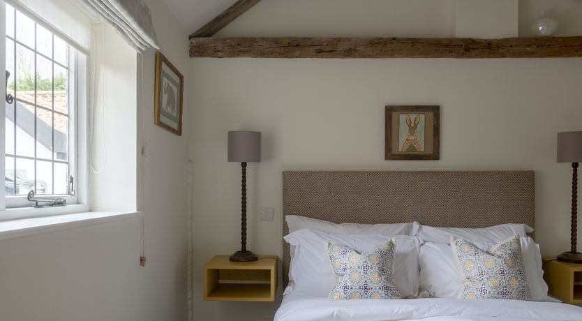 Photo of A Scurry of Squirrels