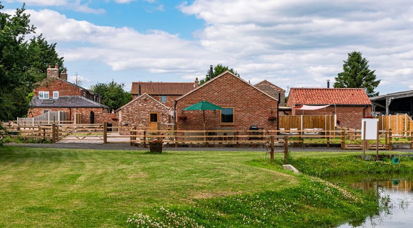 Photo of Grazing Grass