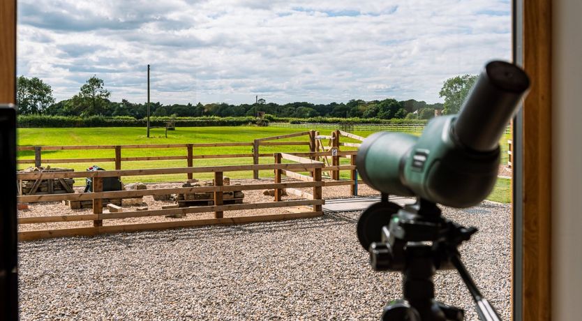 Photo of Grazing Grass