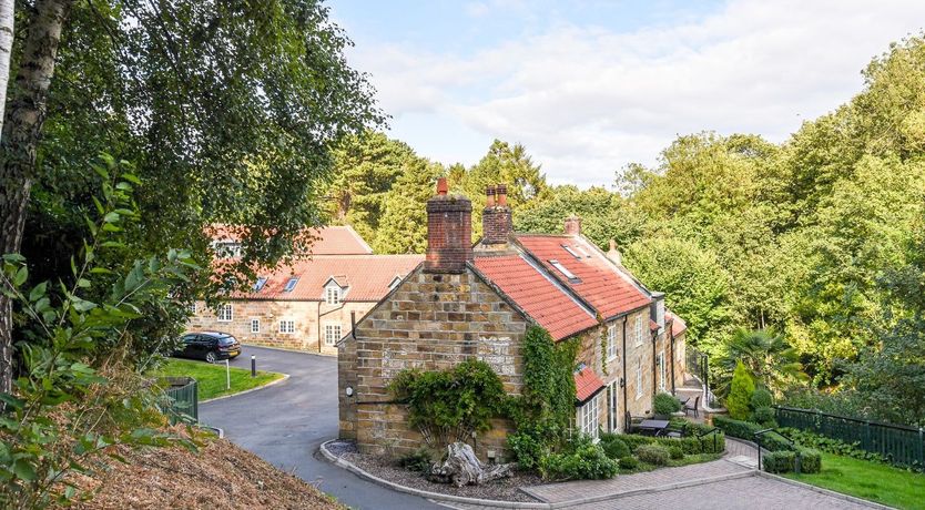 Photo of Ivy & Sea Grass