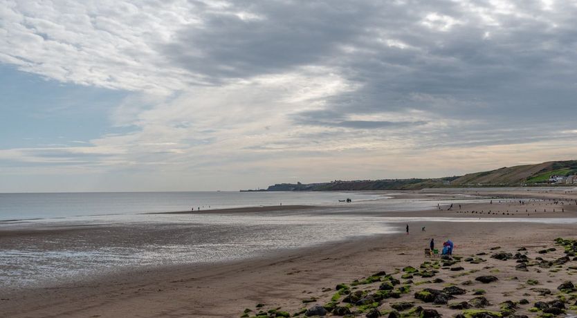 Photo of Ivy & Sea Grass
