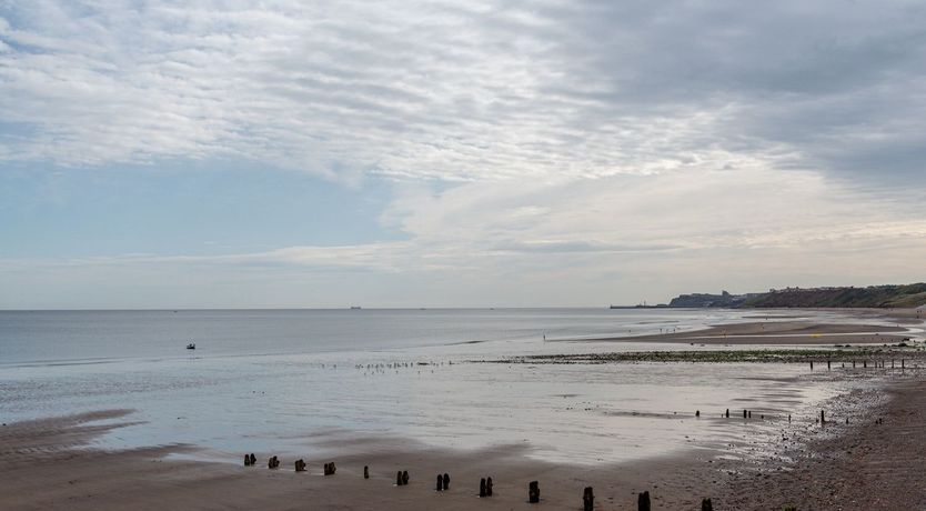 Photo of All Relative