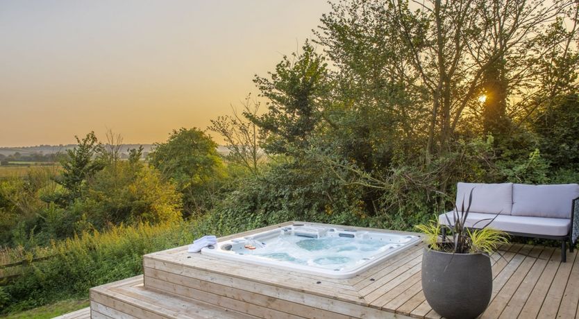 Photo of Catch the Pigeon