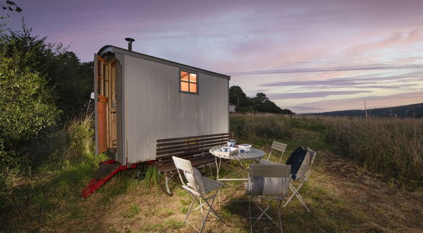 Photo of Catch the Pigeon