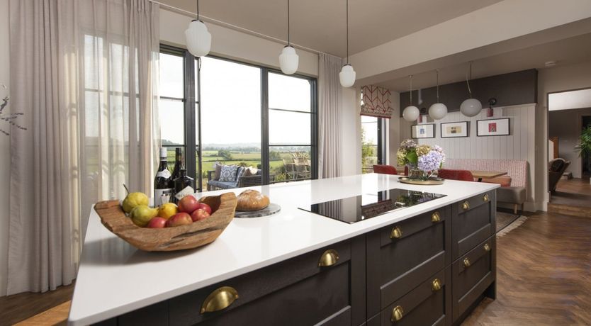 Photo of Catch the Pigeon