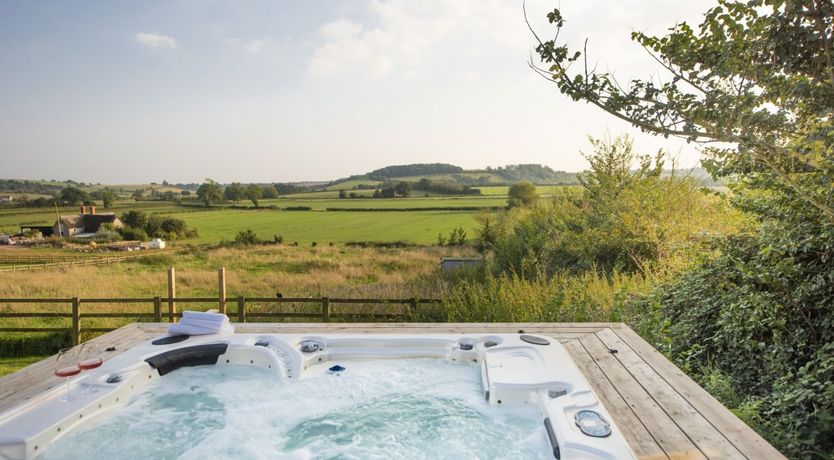 Photo of Catch the Pigeon