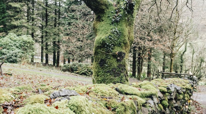 Photo of Fronwen Lodge