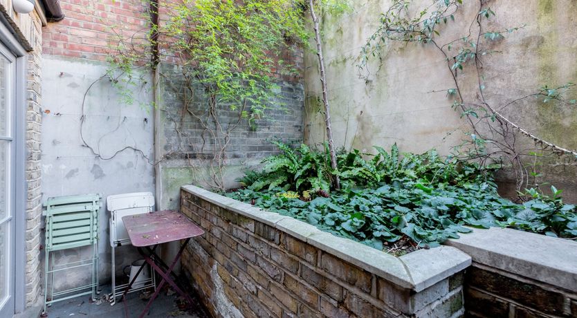 Photo of The Great Bear