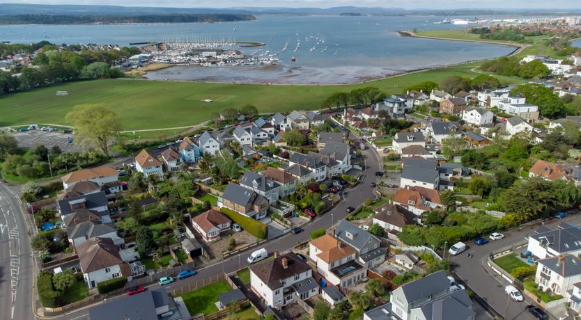 Photo of White Water-Lily