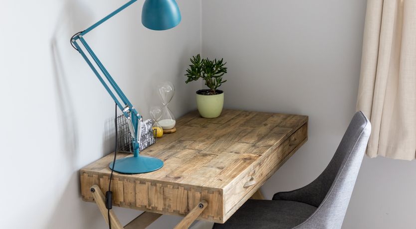 Photo of White Water-Lily