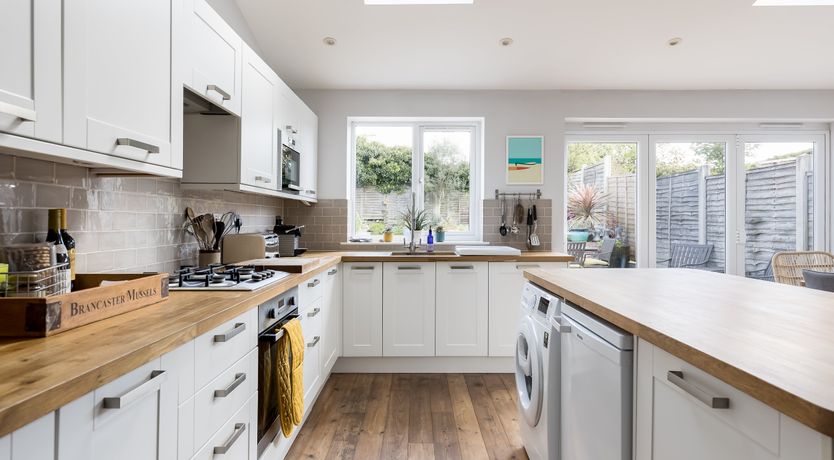 Photo of White Water-Lily