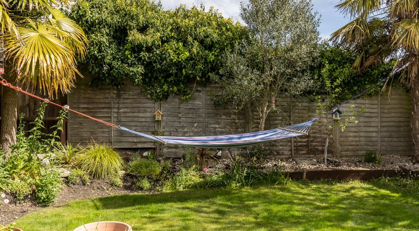 Photo of White Water-Lily