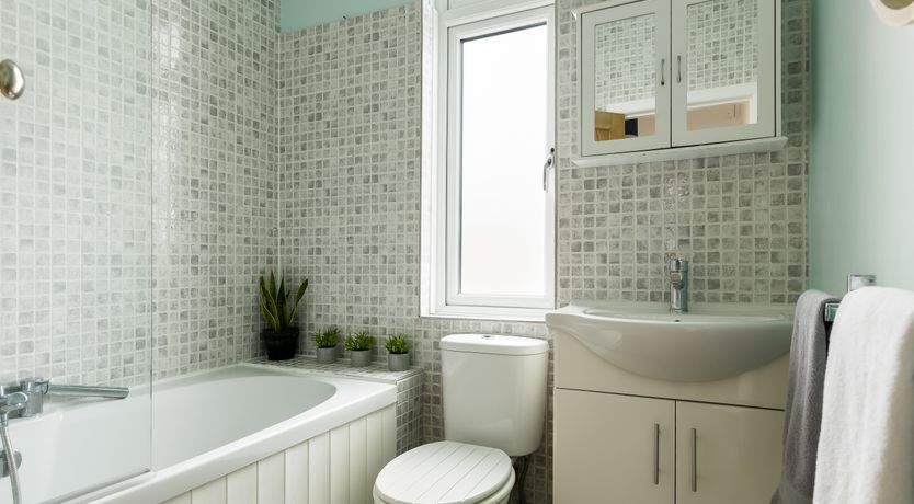 Photo of White Water-Lily