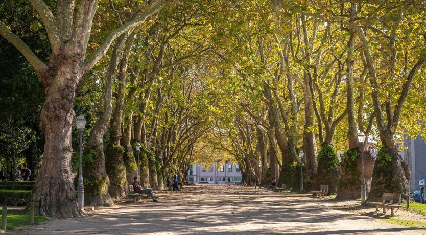 Photo of Uma Francesinha