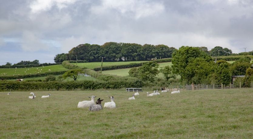 Photo of Roundhouse Rambles