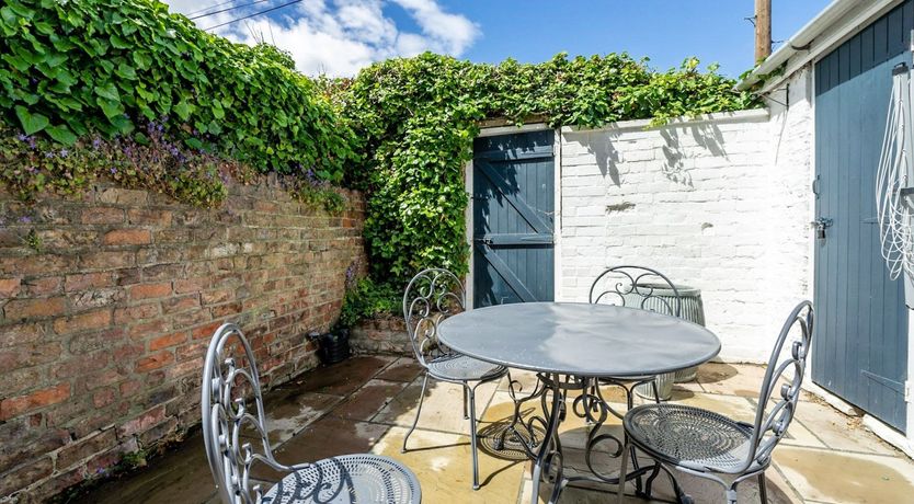 Photo of Bellflowers at Teatime