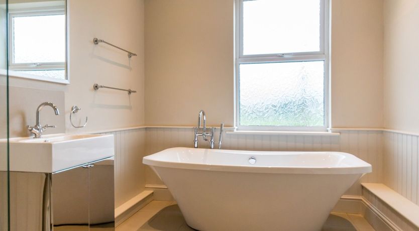 Photo of Bellflowers at Teatime