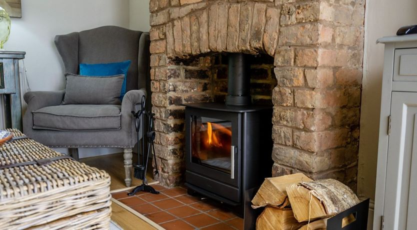 Photo of Bellflowers at Teatime