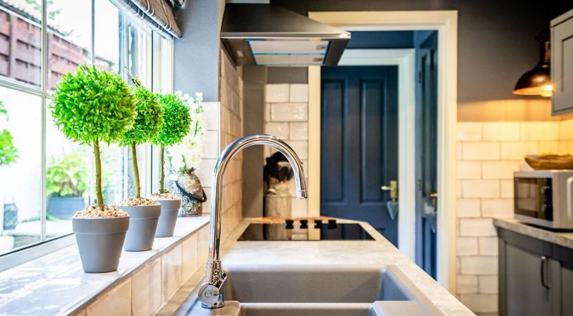 Photo of Silver Bells and Cockleshells