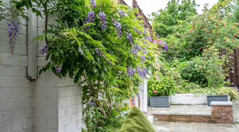 Photo of Silver Bells and Cockleshells