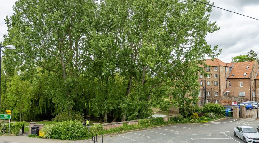 Photo of Silver Bells and Cockleshells