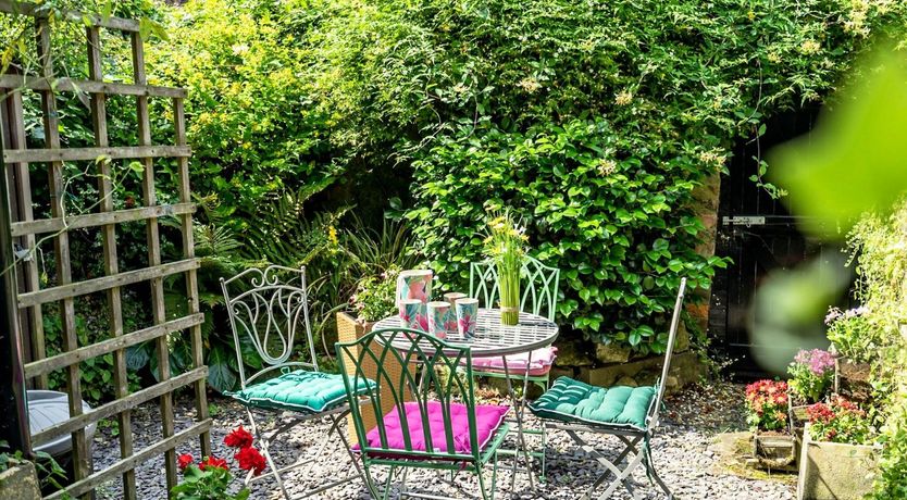 Photo of Bouquets Of Forget-Me-Nots