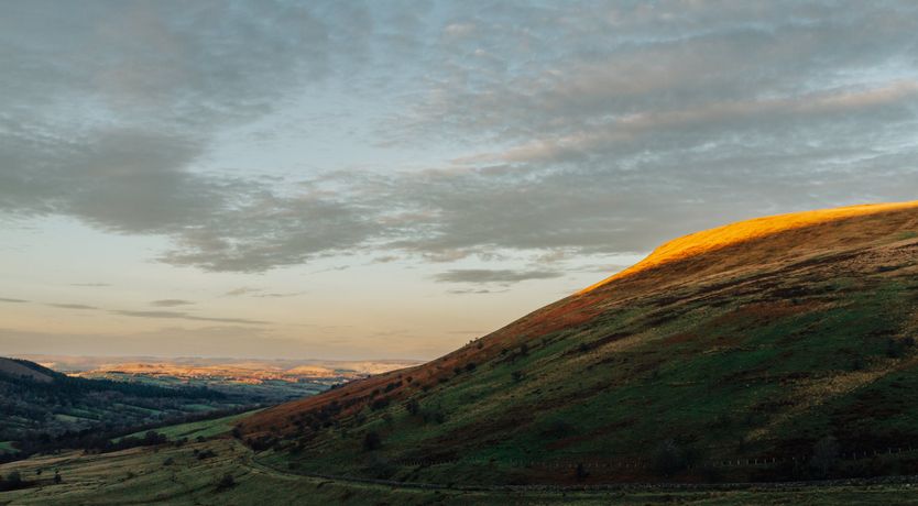 Photo of A Glass And A Half