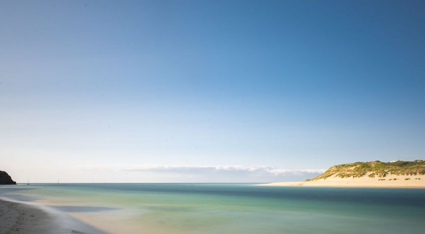 Photo of Little Egret