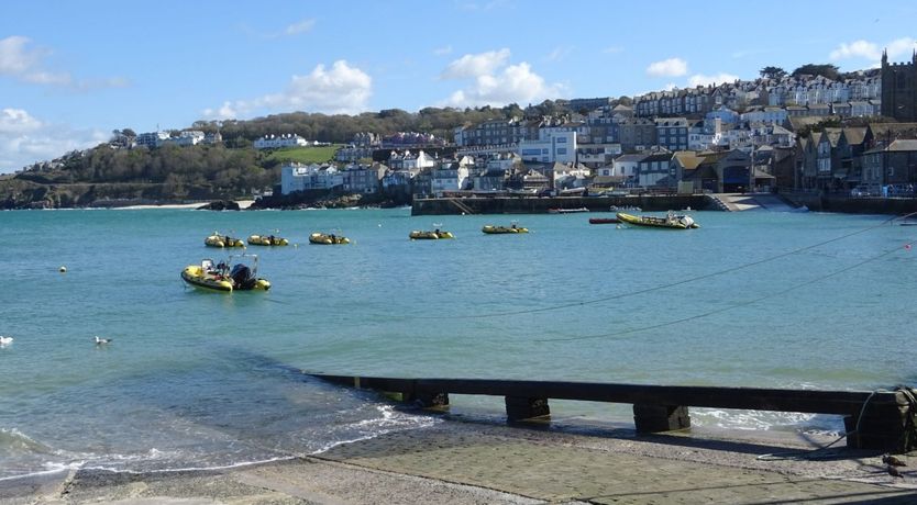 Photo of Little Egret