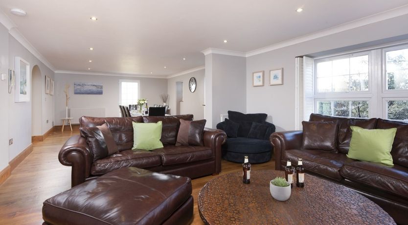 Photo of Little Egret