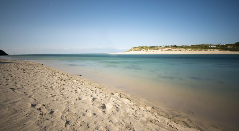 Photo of Little Egret