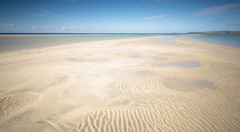 Photo of Little Egret