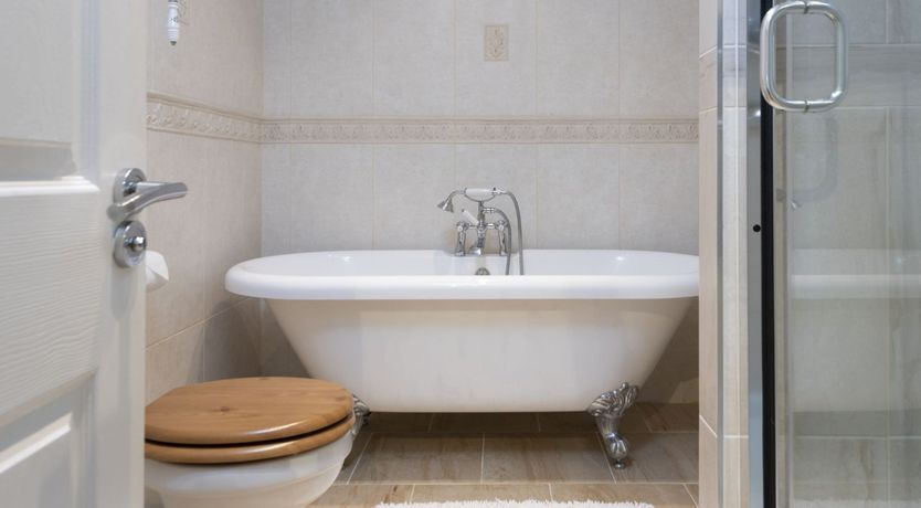 Photo of Little Egret