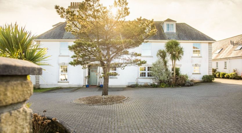 Photo of Little Egret