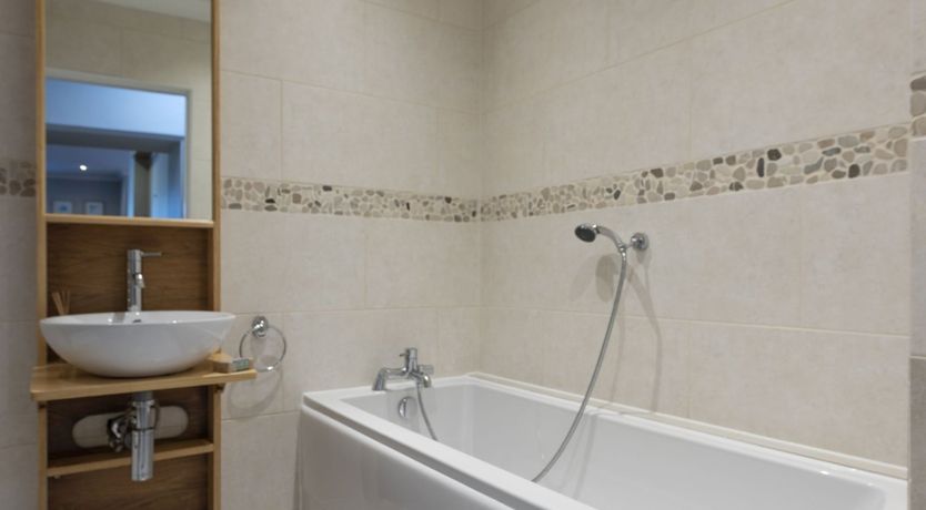 Photo of Little Egret