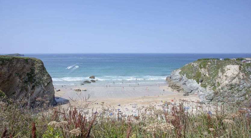 Photo of Sweet Nightingale