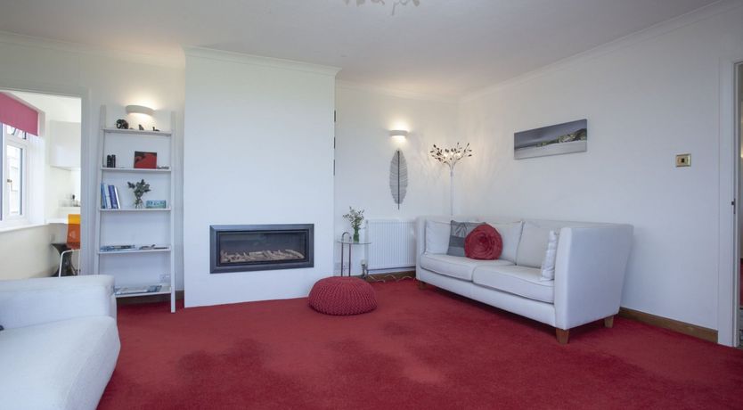 Photo of Sweet Nightingale