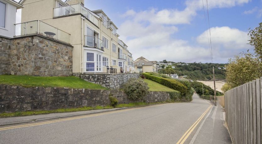 Photo of Seagulls Soar