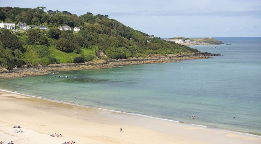 Photo of Seagulls Soar