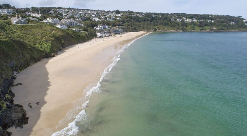 Photo of Seagulls Soar