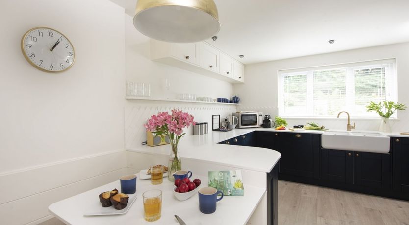 Photo of Seagulls Soar