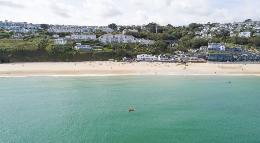 Photo of Seagulls Soar