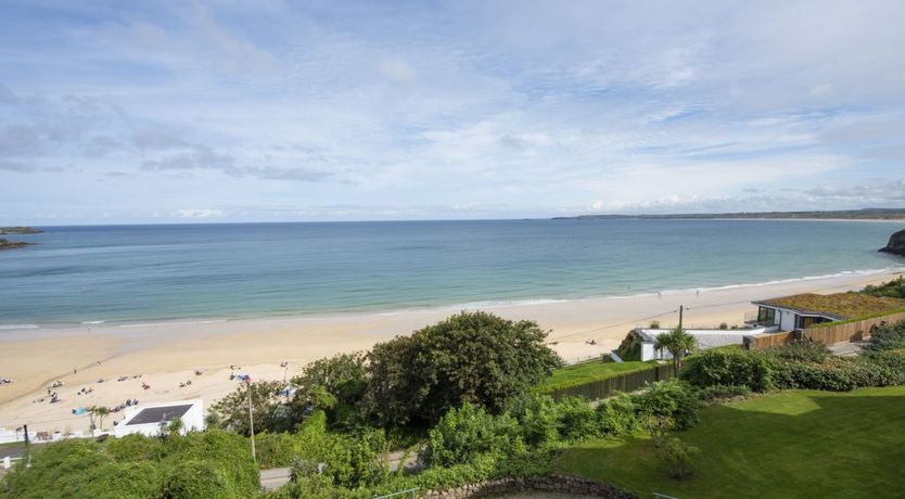 Photo of Seagulls Soar