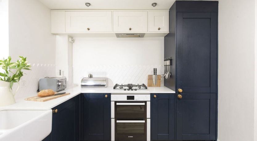 Photo of Seagulls Soar