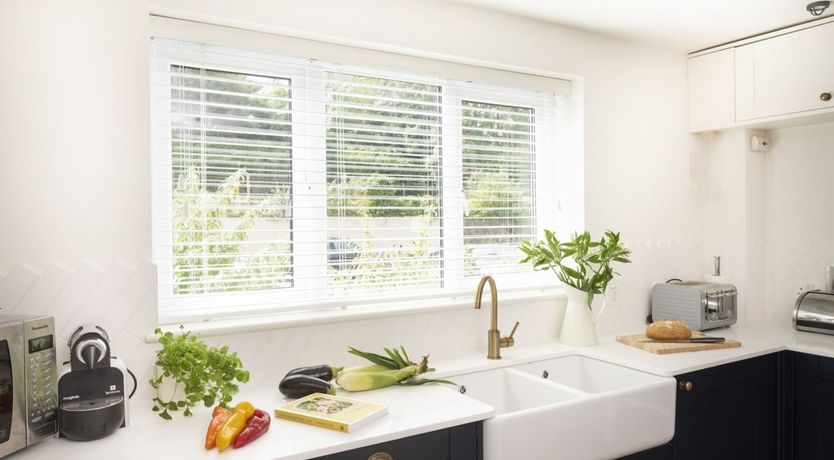 Photo of Seagulls Soar